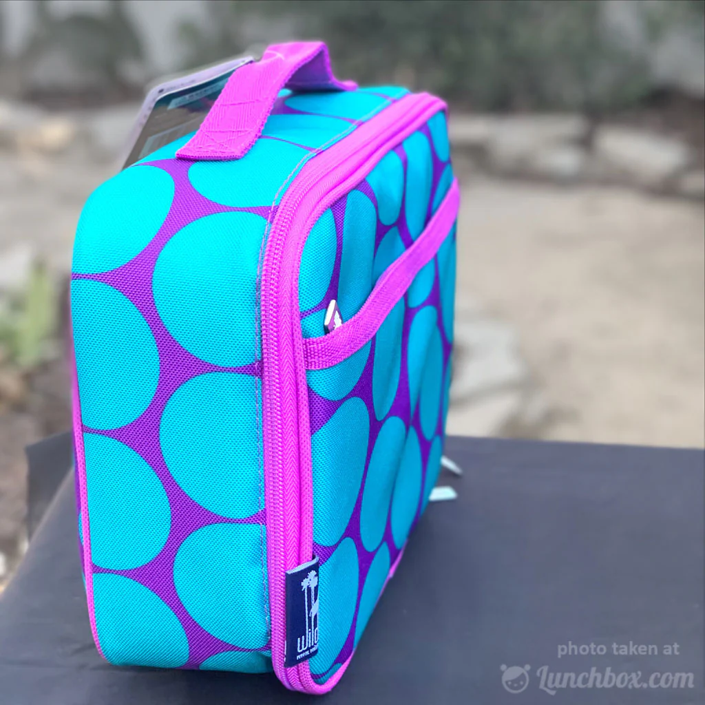 Big Dots - Aqua - Lunchbox - Image 3