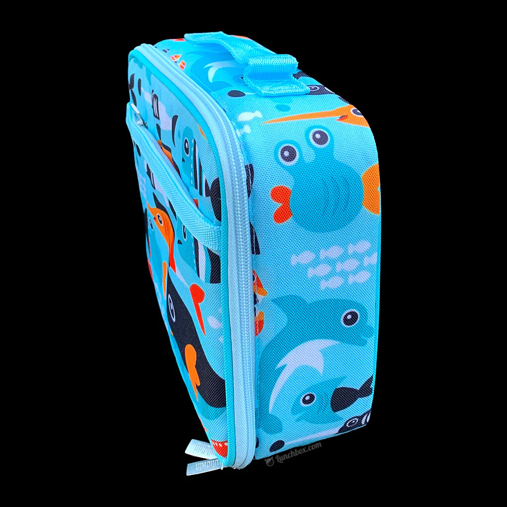Big Fish Lunch Box - Image 5