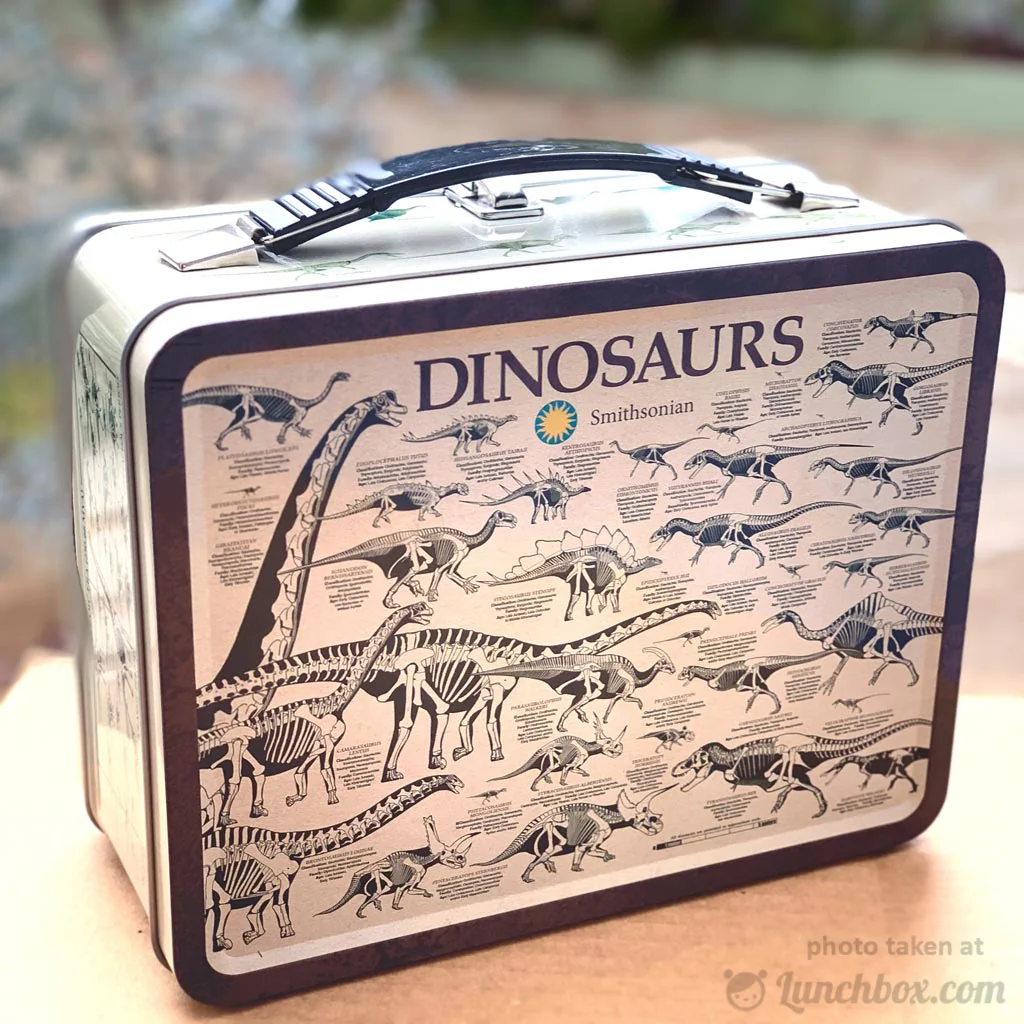 Dinosaurs Metal Lunch Box - Image 10