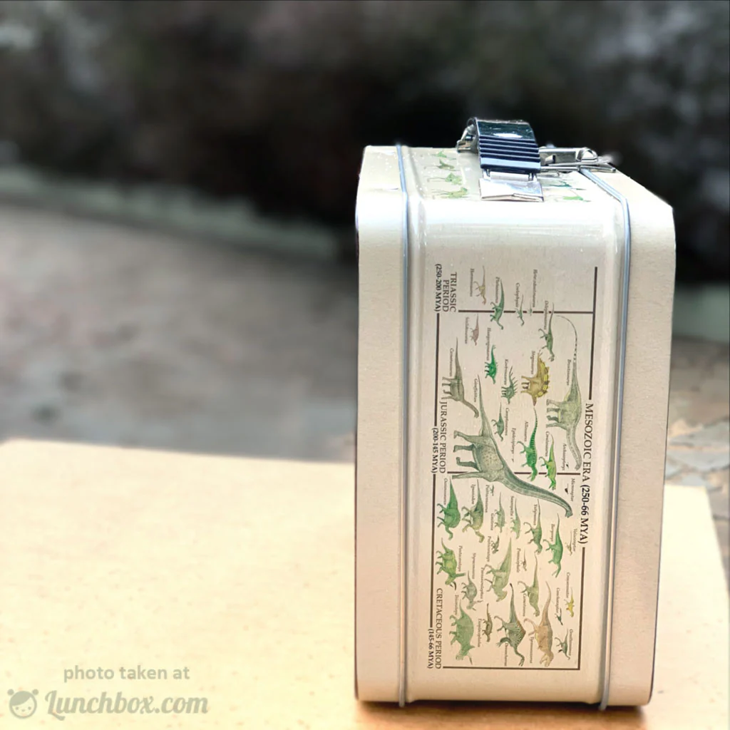 Dinosaurs Metal Lunch Box - Image 8