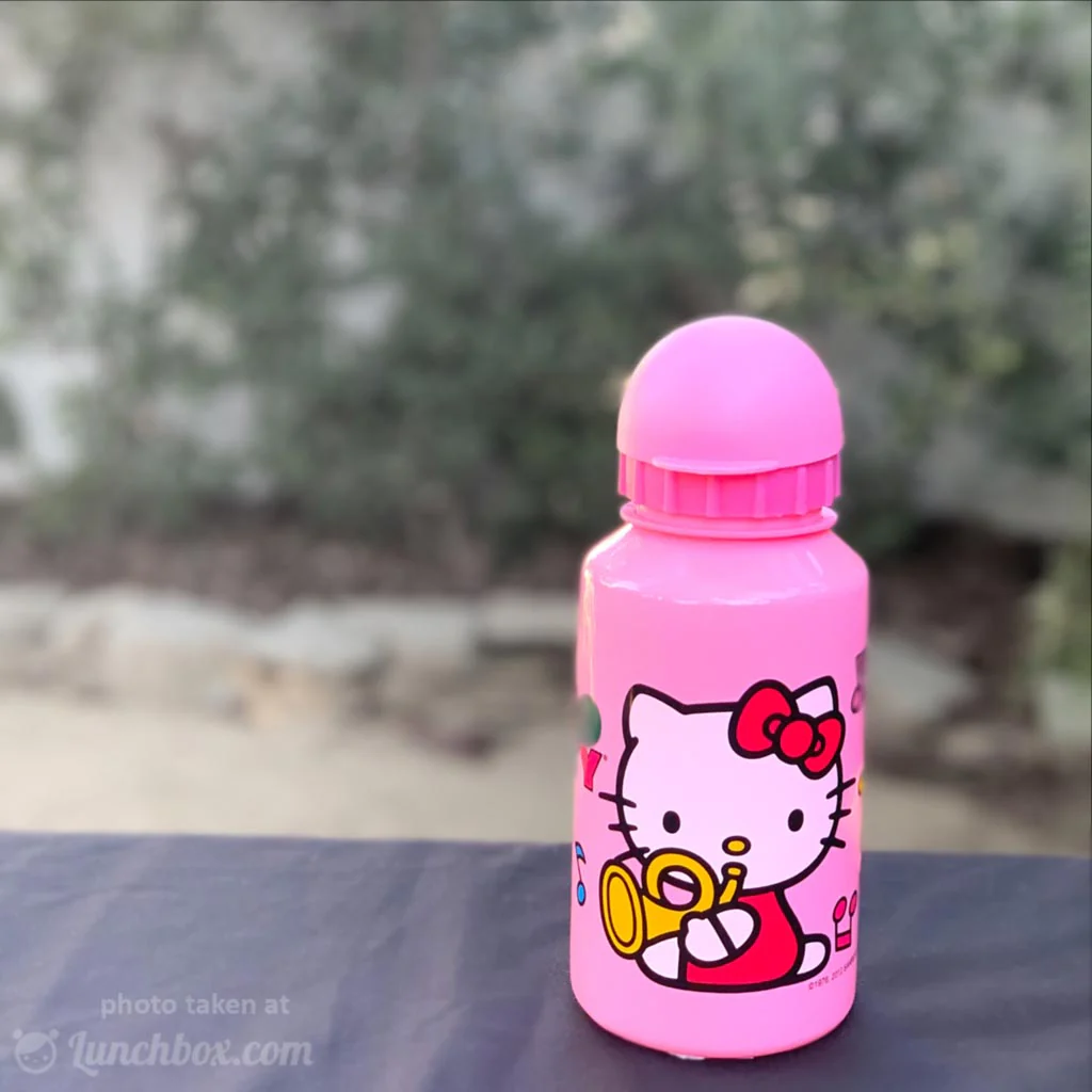 Hello Kitty Water Bottle - Image 3