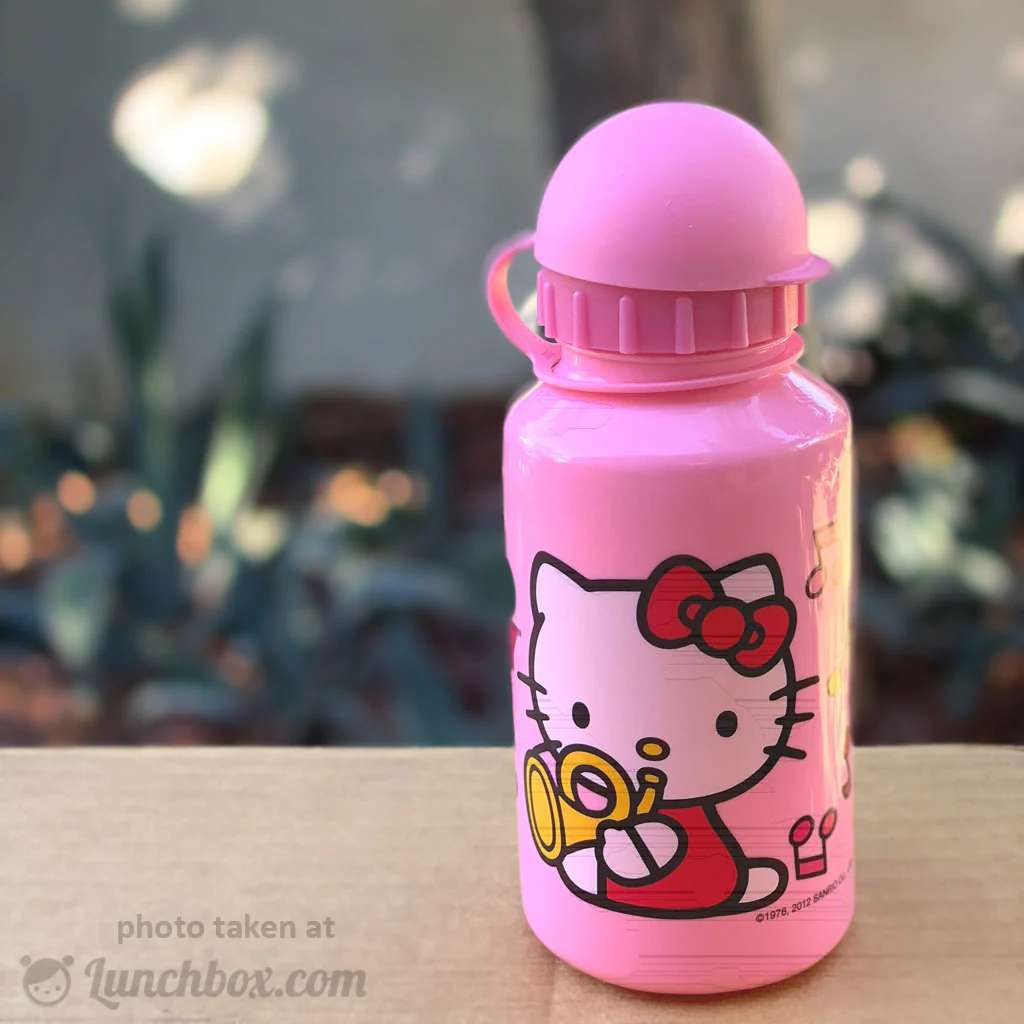 Hello Kitty Water Bottle - Image 4