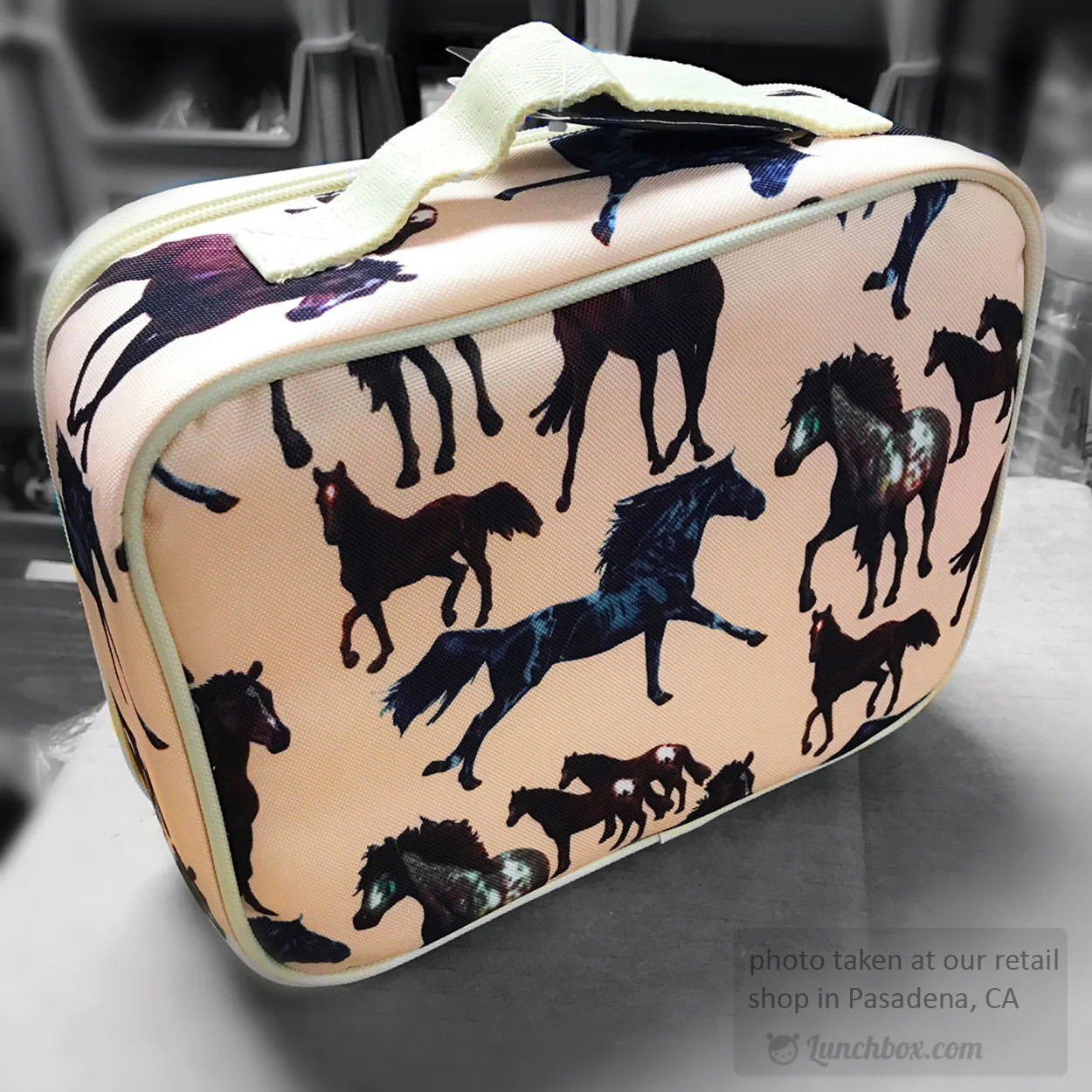 Horse Dreams Lunch Box - Image 10