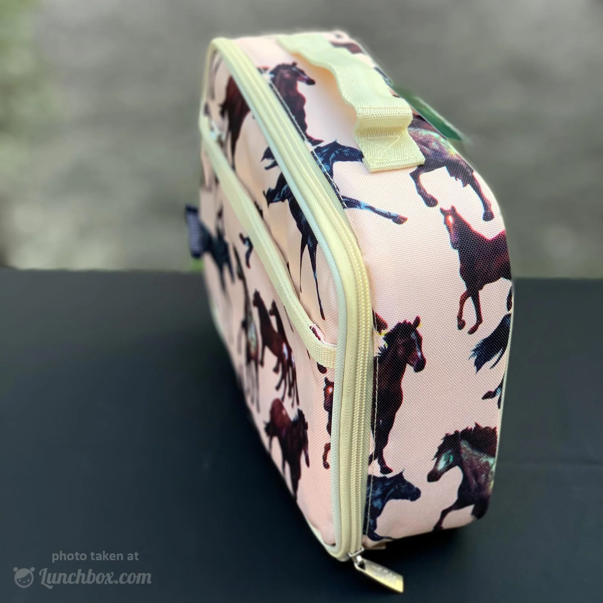 Horse Dreams Lunch Box - Image 3