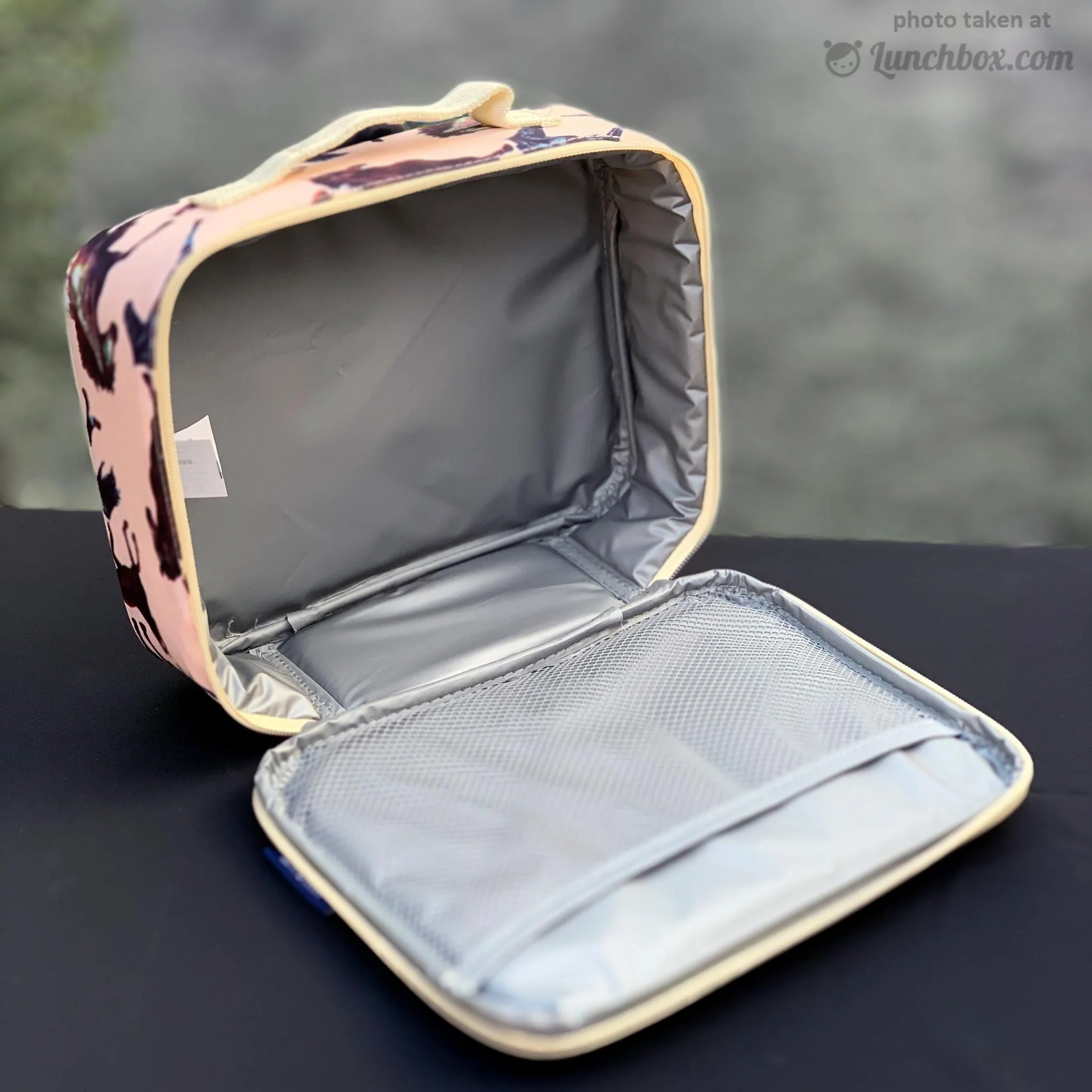 Horse Dreams Lunch Box - Image 4