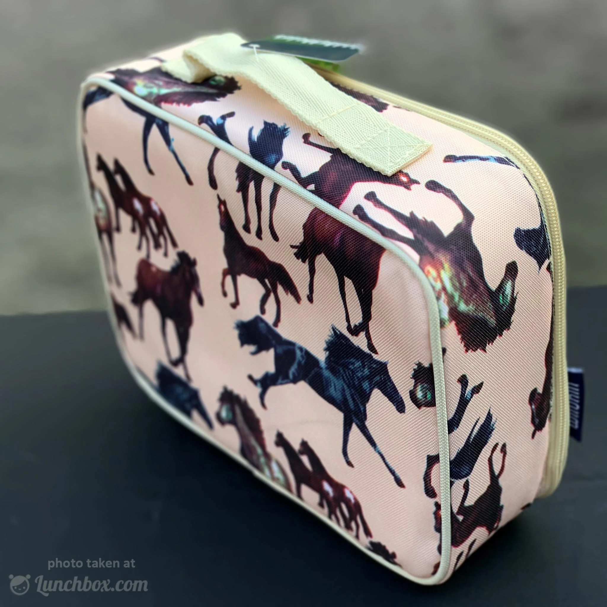 Horse Dreams Lunch Box - Image 6