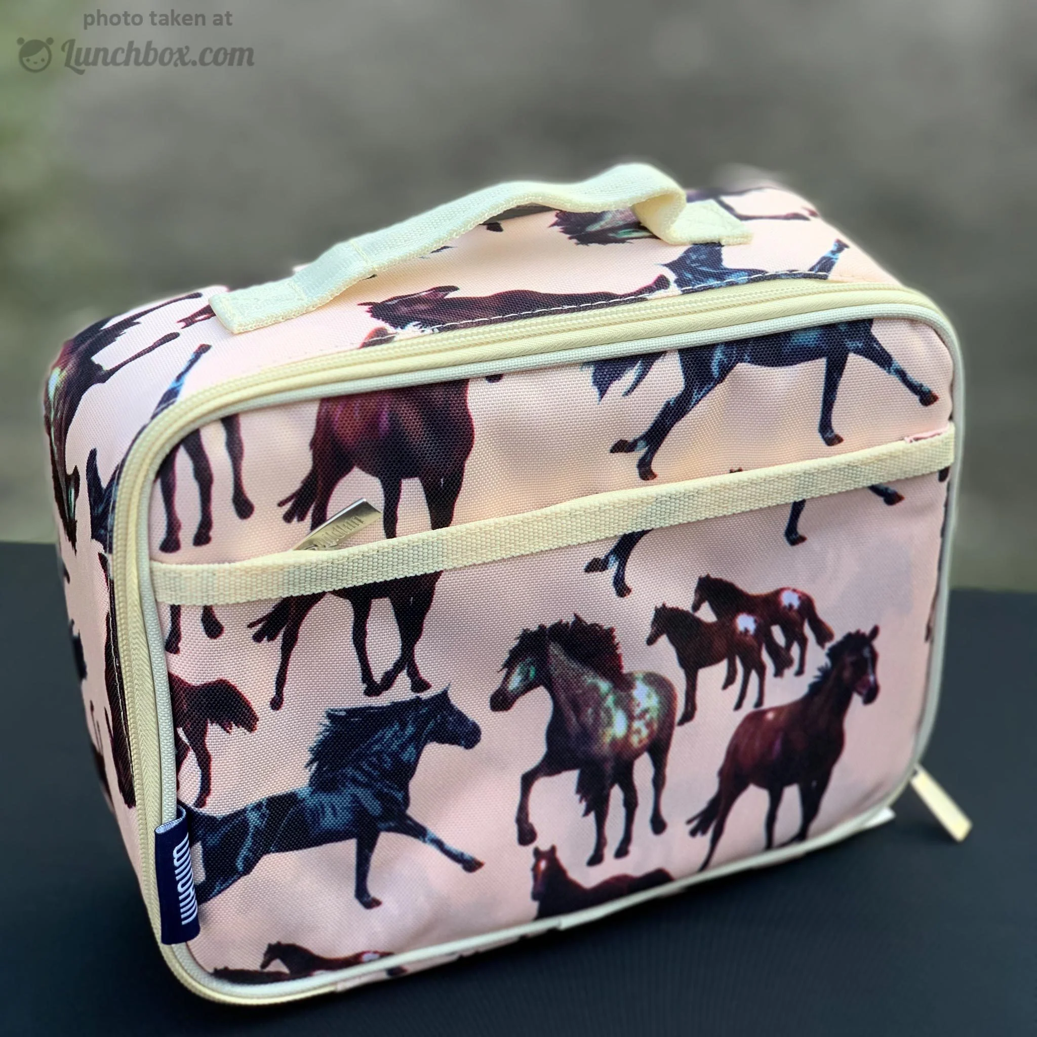 Horse Dreams Lunch Box - Image 7
