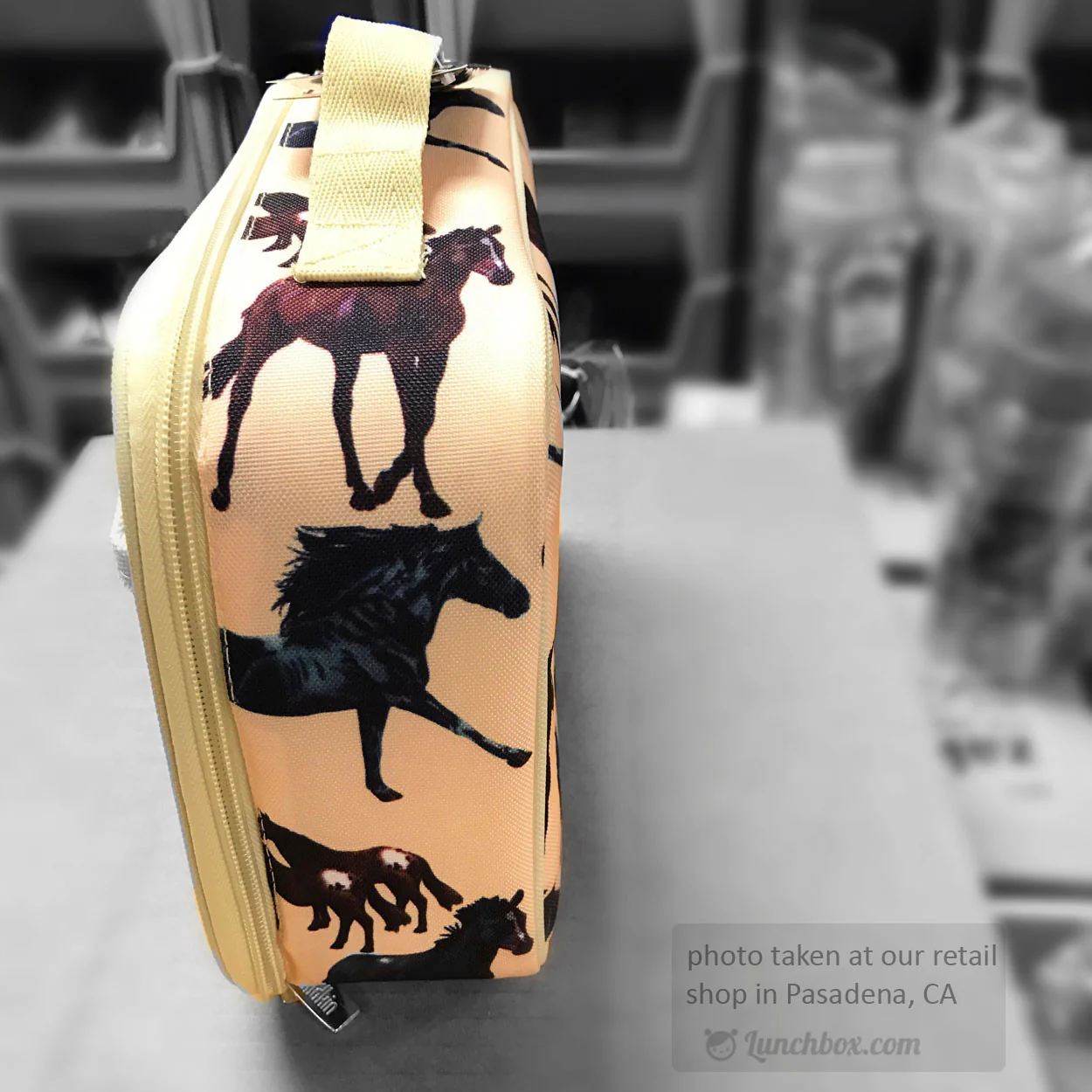 Horse Dreams Lunch Box - Image 9
