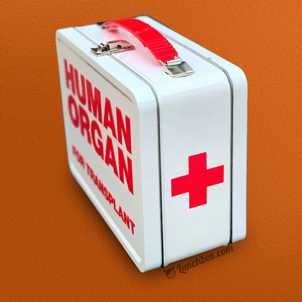 Human Organ Transport Lunchbox - Image 4