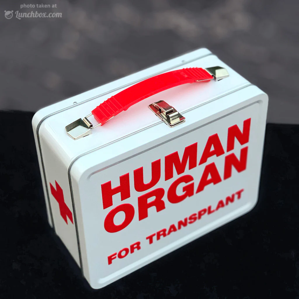 Human Organ Transport Lunchbox - Image 5