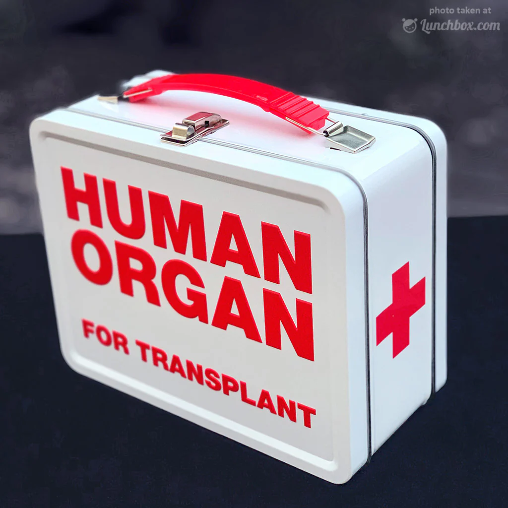 Human Organ Transport Lunchbox - Image 6