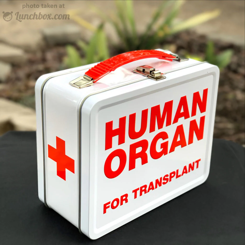 Human Organ Transport Lunchbox - Image 7