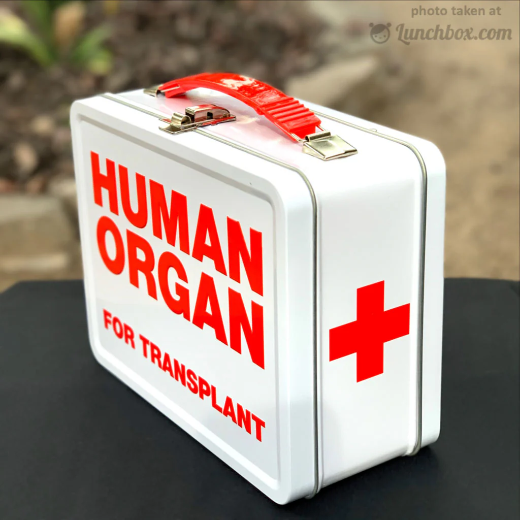 Human Organ Transport Lunchbox - Image 8