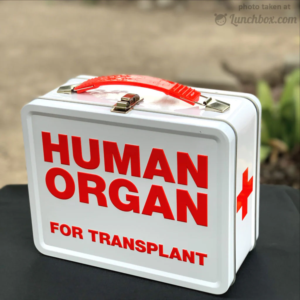 Human Organ Transport Lunchbox - Image 9