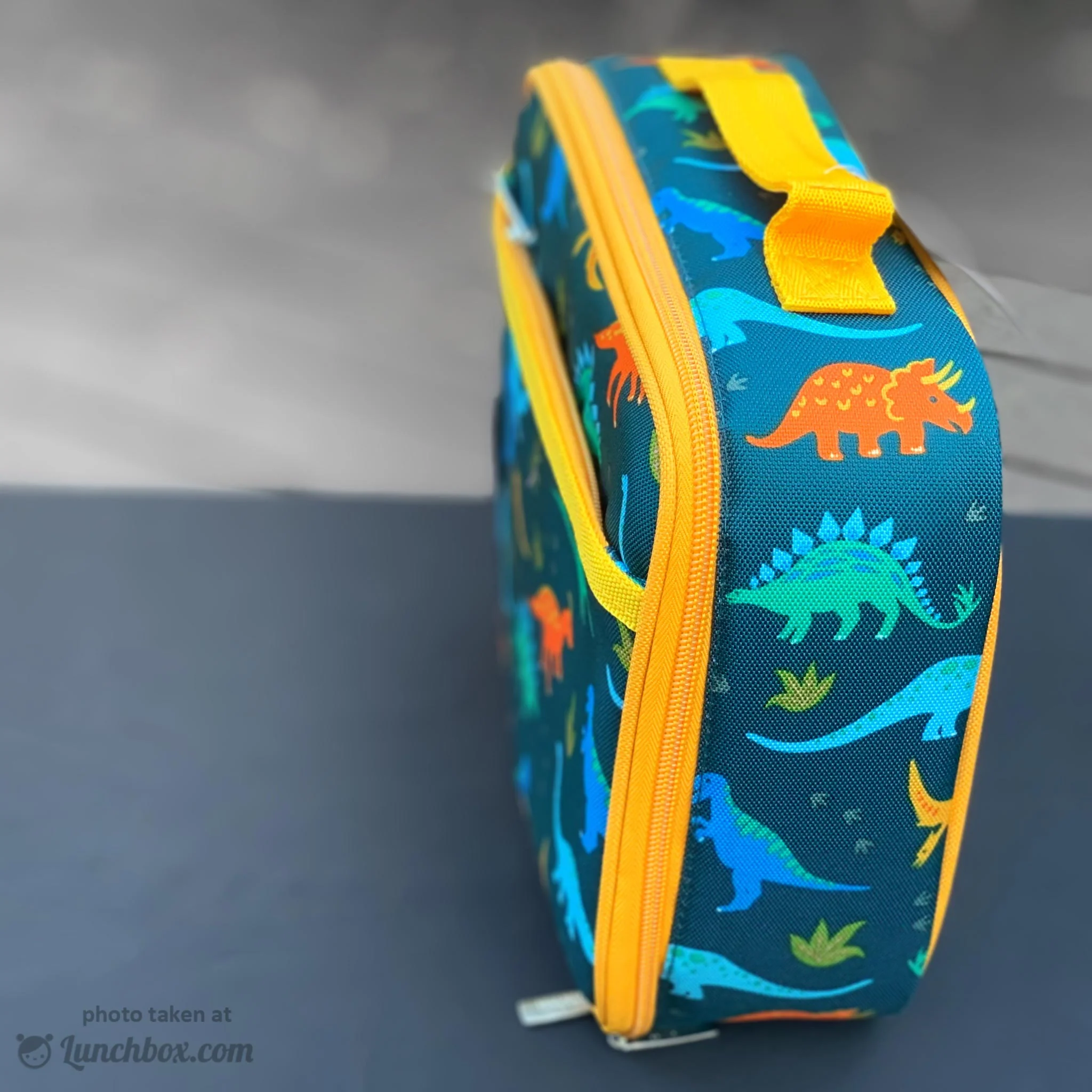Jurassic Dinosaurs Lunch Box - Image 2