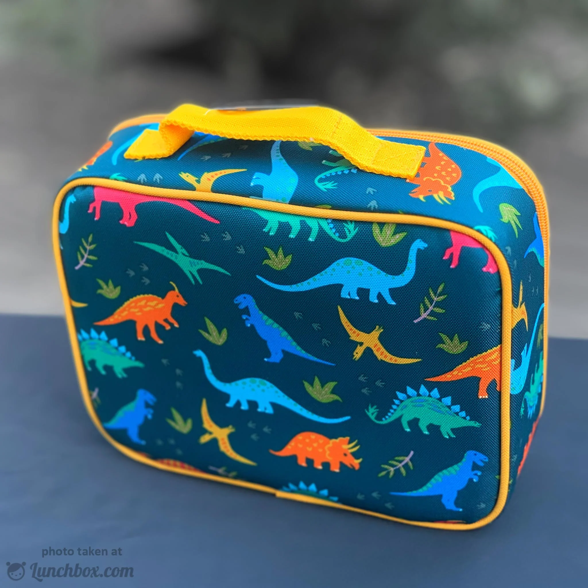 Jurassic Dinosaurs Lunch Box - Image 4