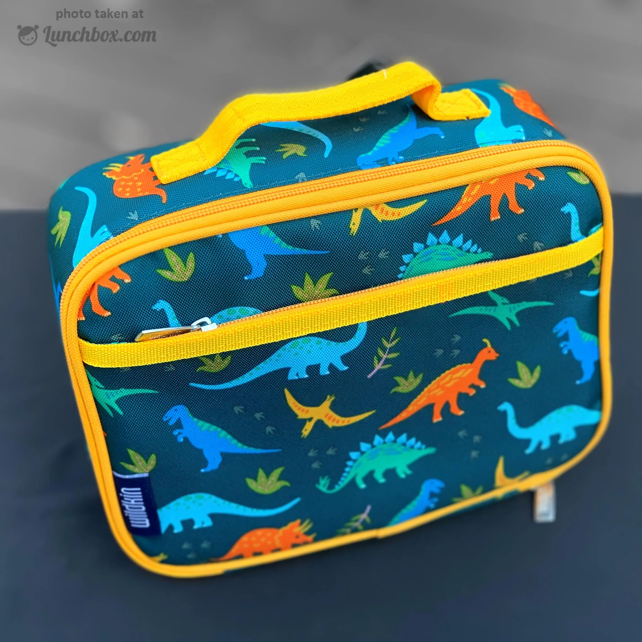 Jurassic Dinosaurs Lunch Box - Image 6