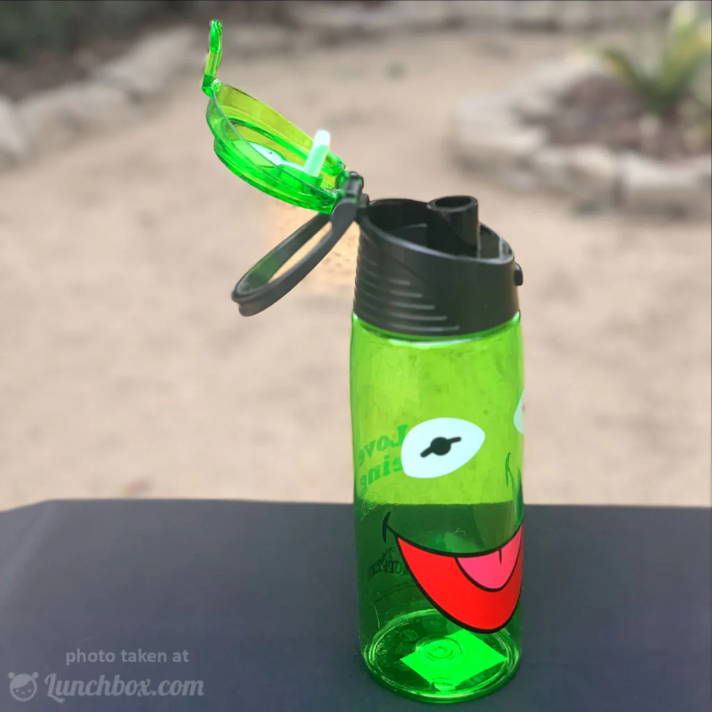 Kermit the Frog Hydro Canteen Bottle - Image 3