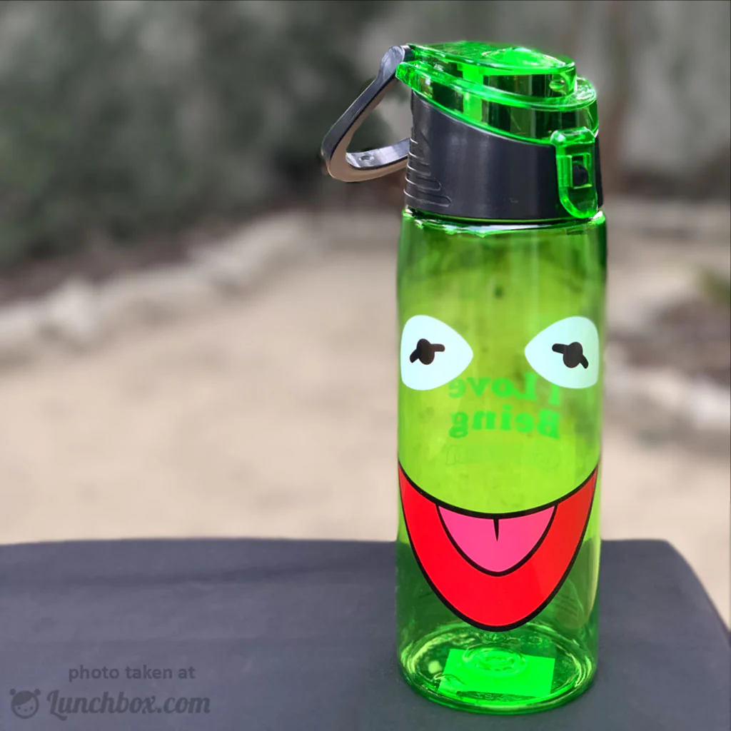 Kermit the Frog Hydro Canteen Bottle - Image 4