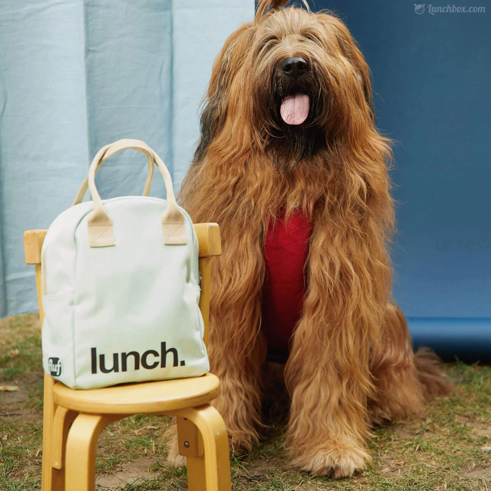 Mint Green Lunch Bag - Image 4