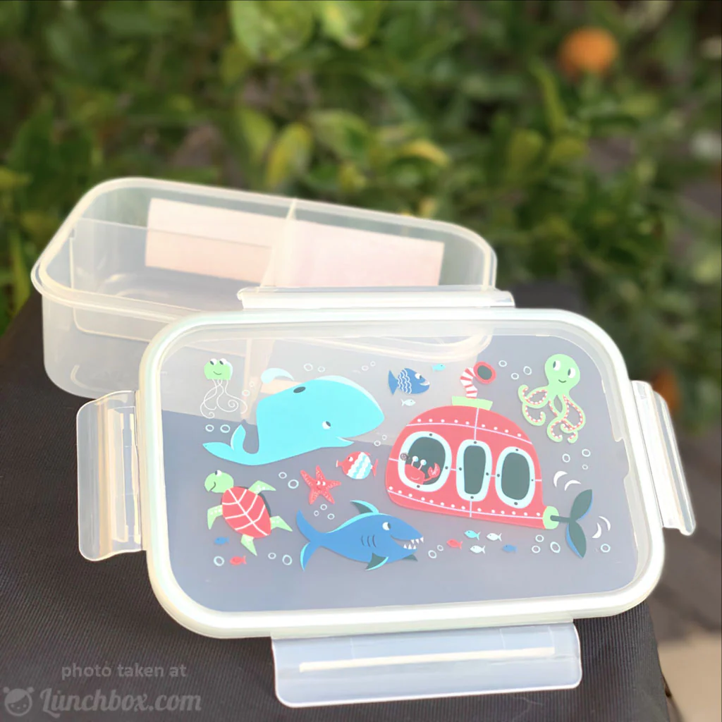 Ocean Life Bento Box - Image 4