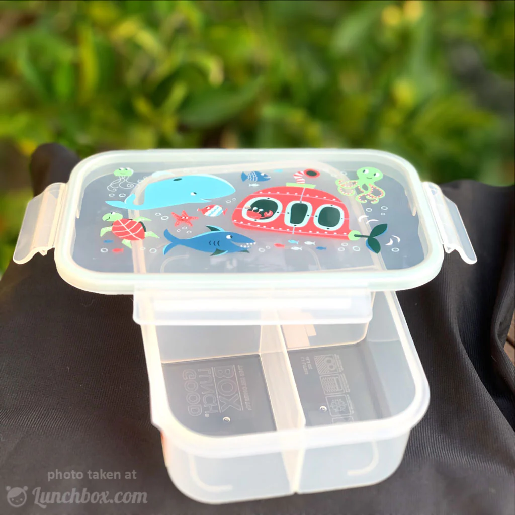 Ocean Life Bento Box - Image 5