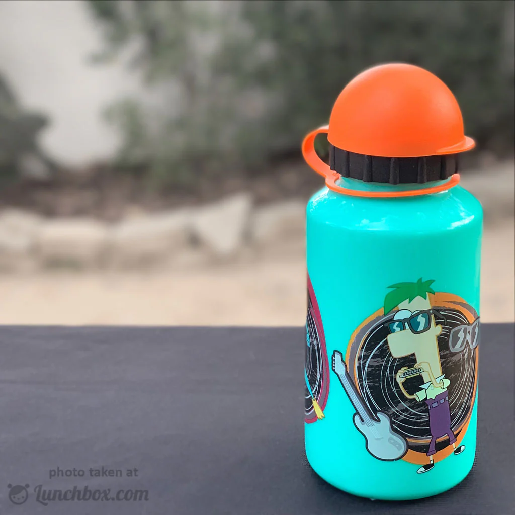 Phineas and Ferb Drink Bottle - Image 3