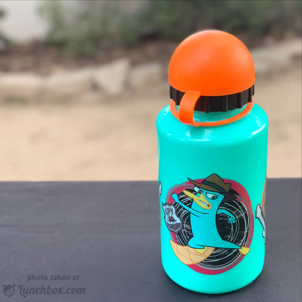 Phineas and Ferb Drink Bottle - Image 4